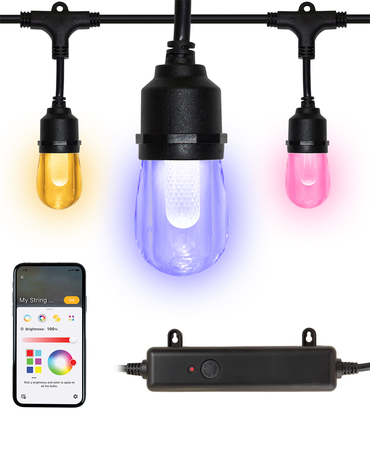 Hampton Bay Smart Indoor/Outdoor Plug-in LED String Light w/ RGBW Colo ...