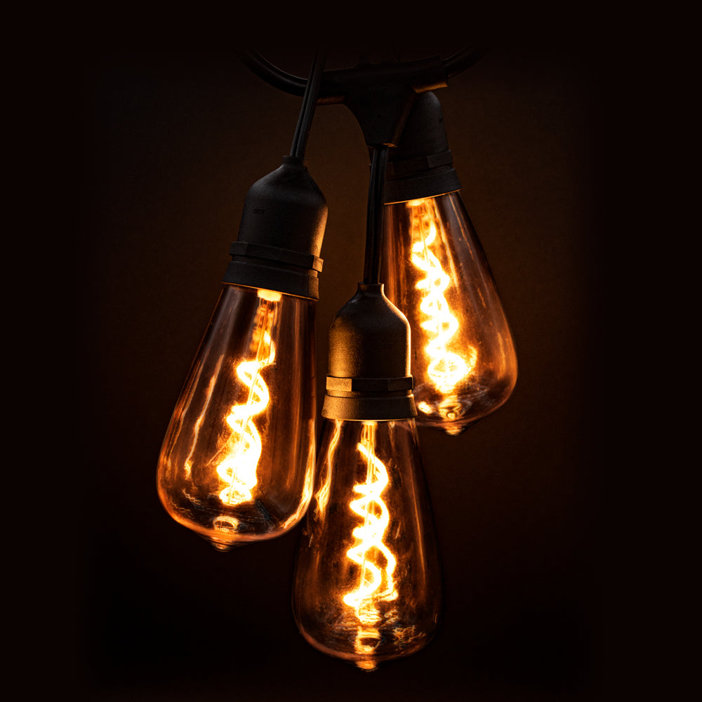 Novolink 12-Light 24 ft. Indoor/Outdoor Plug-in LED String Light, w/ ST64  Novelty Bulbs, Black, (ST64-12-24B)